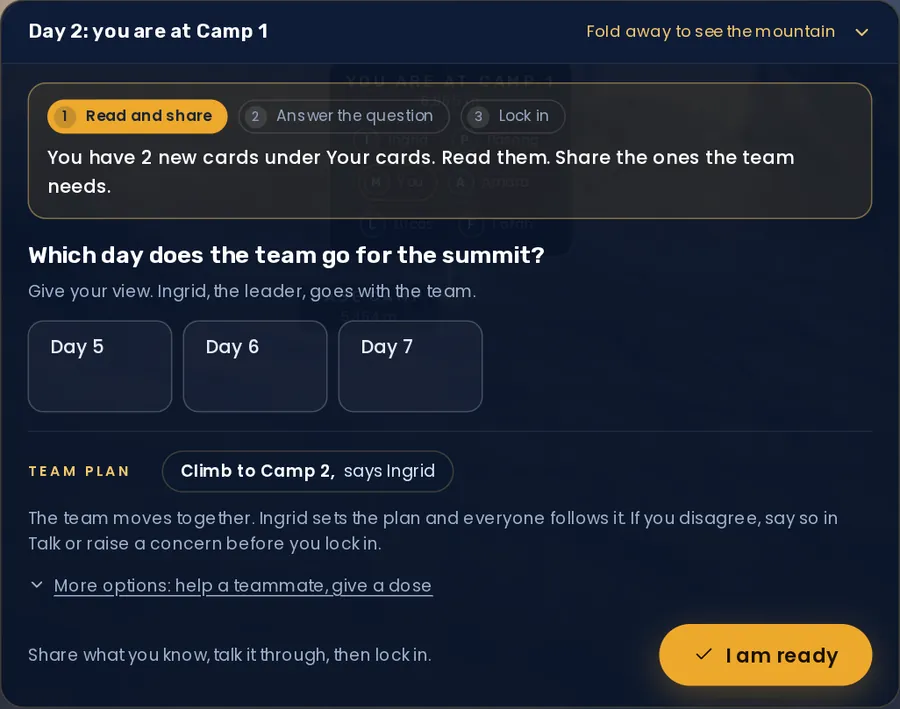 Picture of the game: Your decisions each day