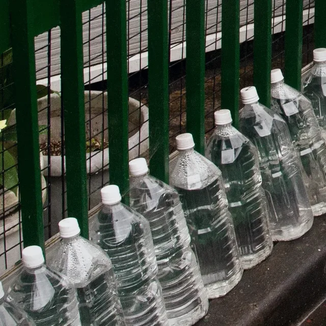 Twelve bottles of water